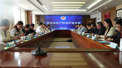 灌南县人民检察院召开企业知识产权保护座谈会
